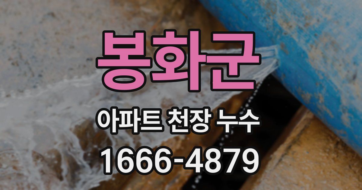 봉화군 아파트 천장 누수