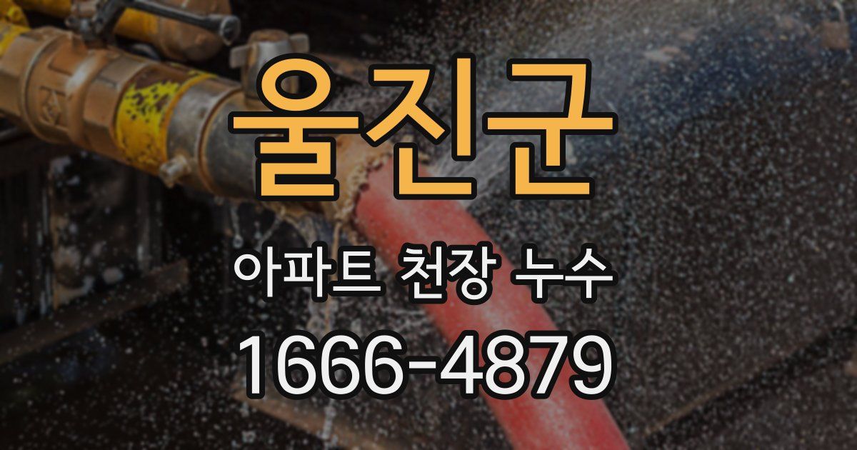 울진군 아파트 천장 누수