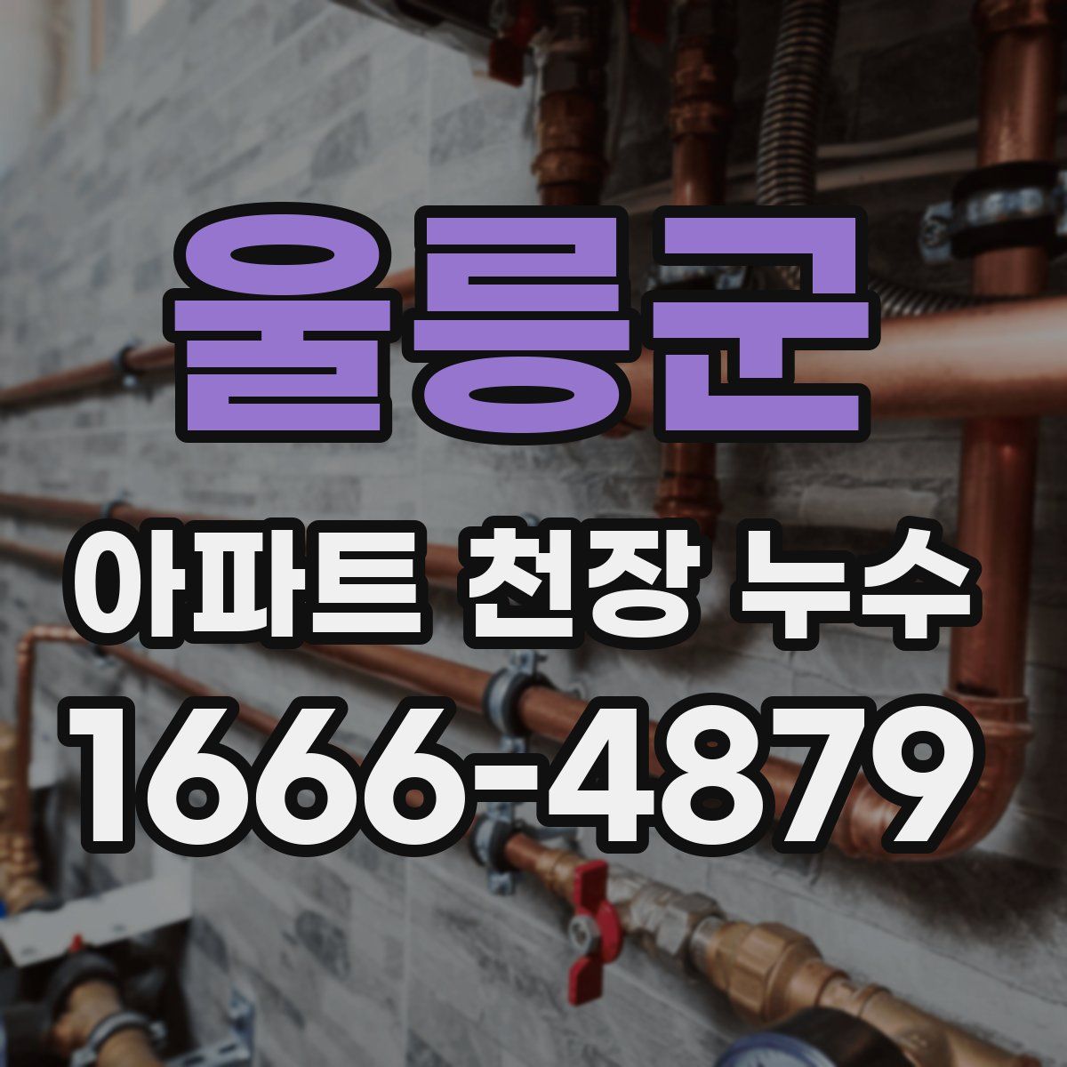 울릉군 아파트 천장 누수