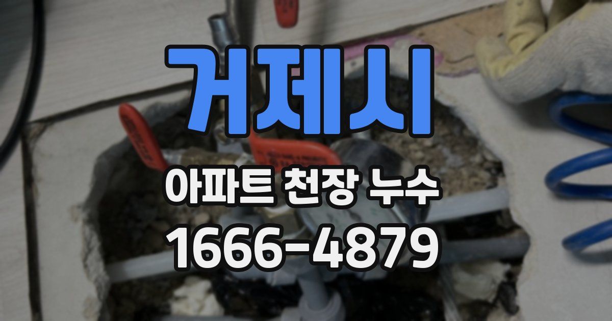 거제시 아파트 천장 누수