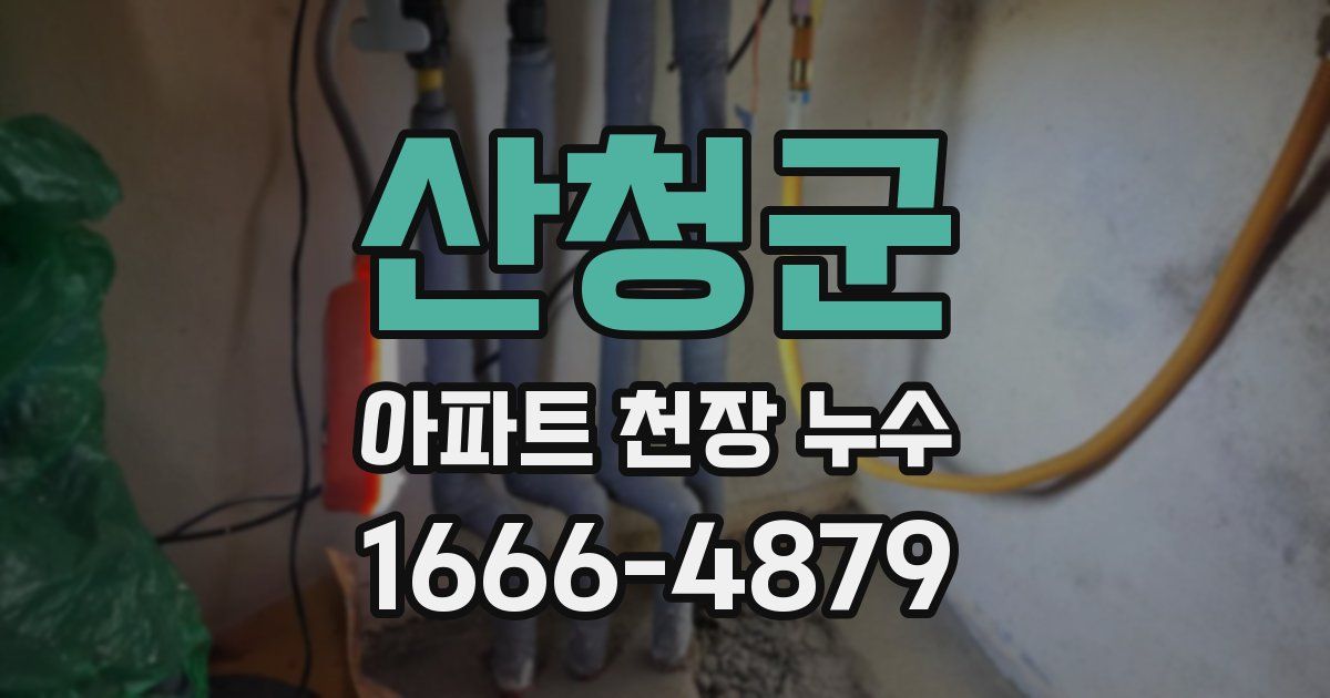 산청군 아파트 천장 누수