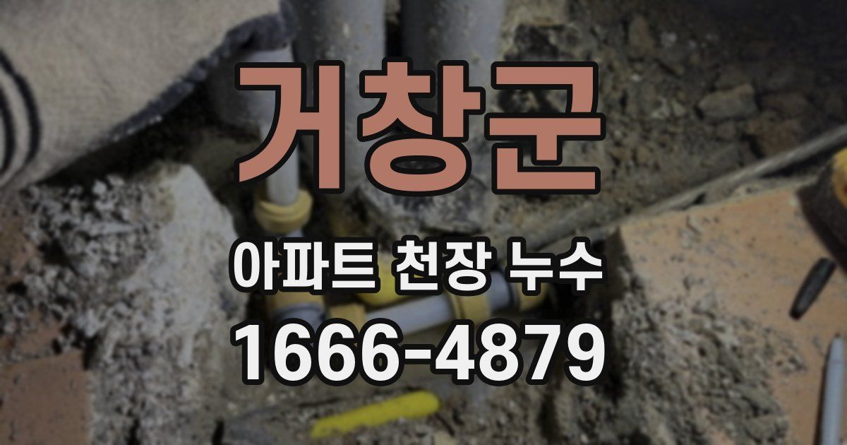 거창군 아파트 천장 누수