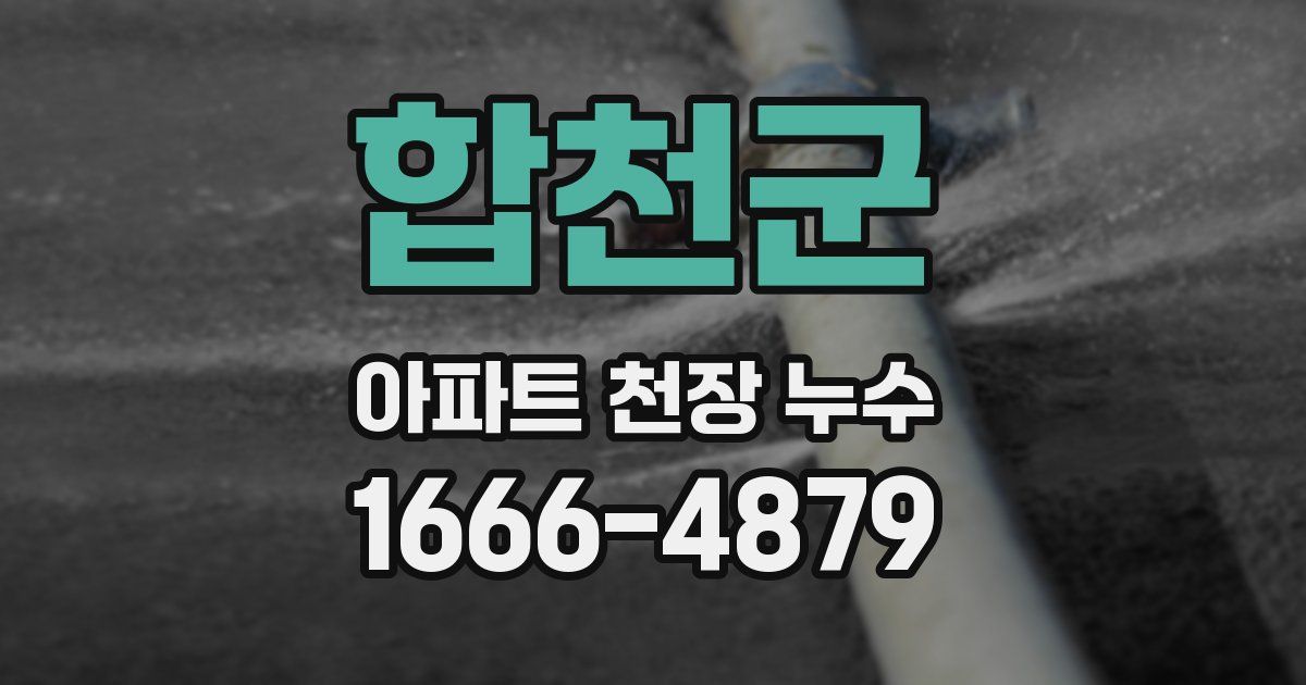 합천군 아파트 천장 누수