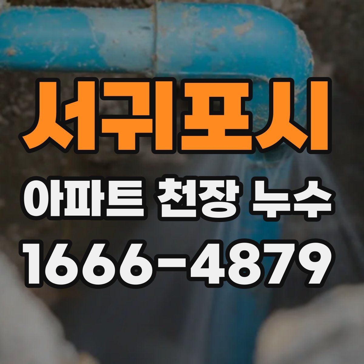 서귀포시 아파트 천장 누수