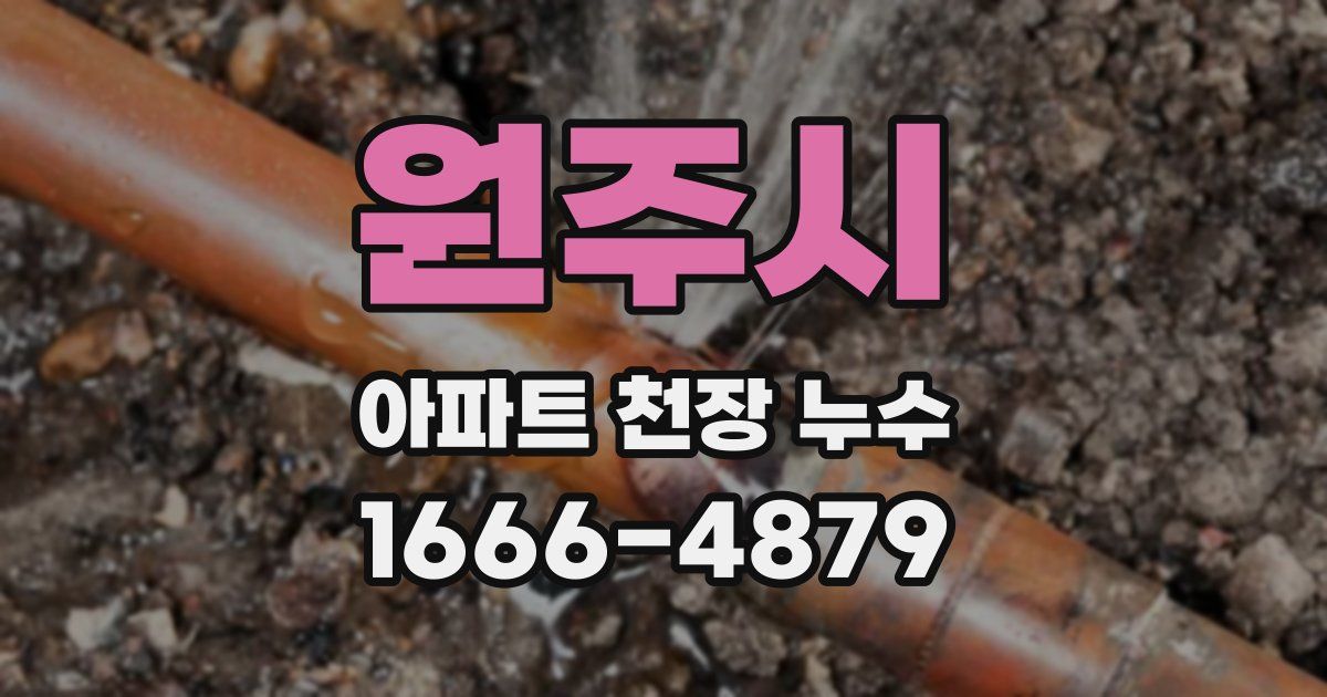 원주시 아파트 천장 누수