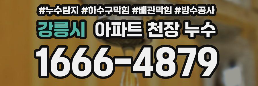 강릉시 아파트 천장 누수