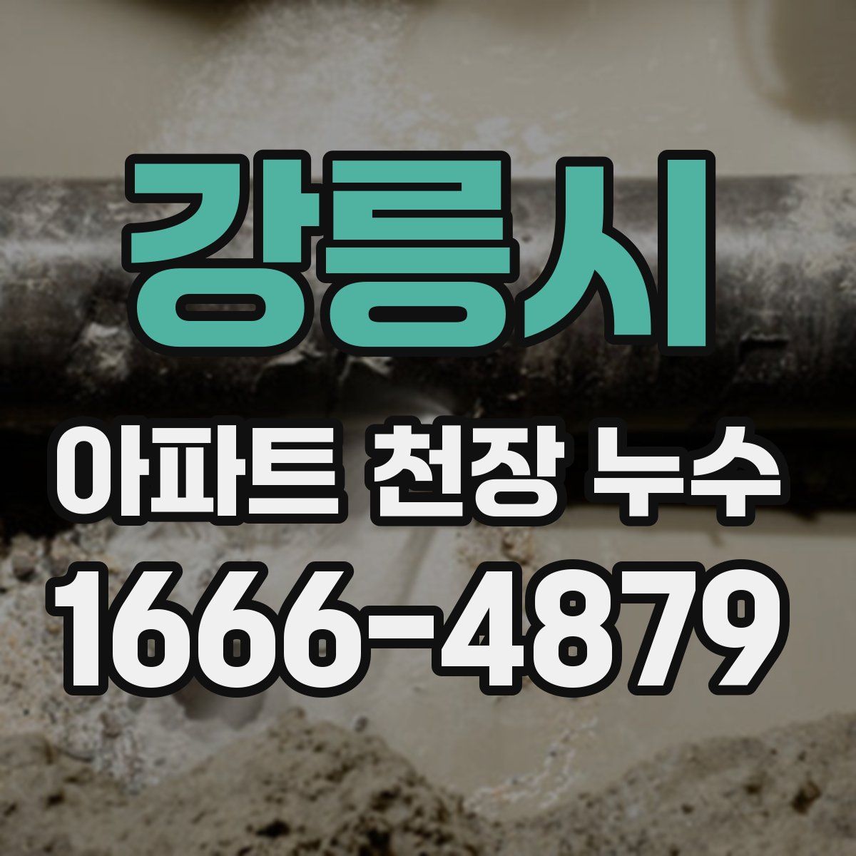 강릉시 아파트 천장 누수