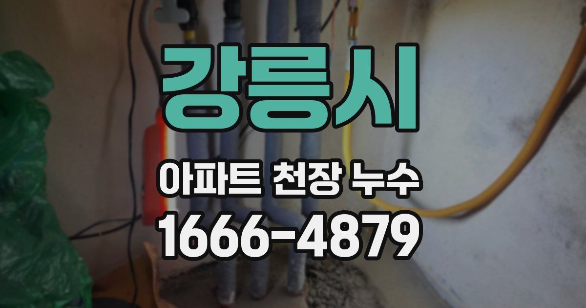 강릉시 아파트 천장 누수