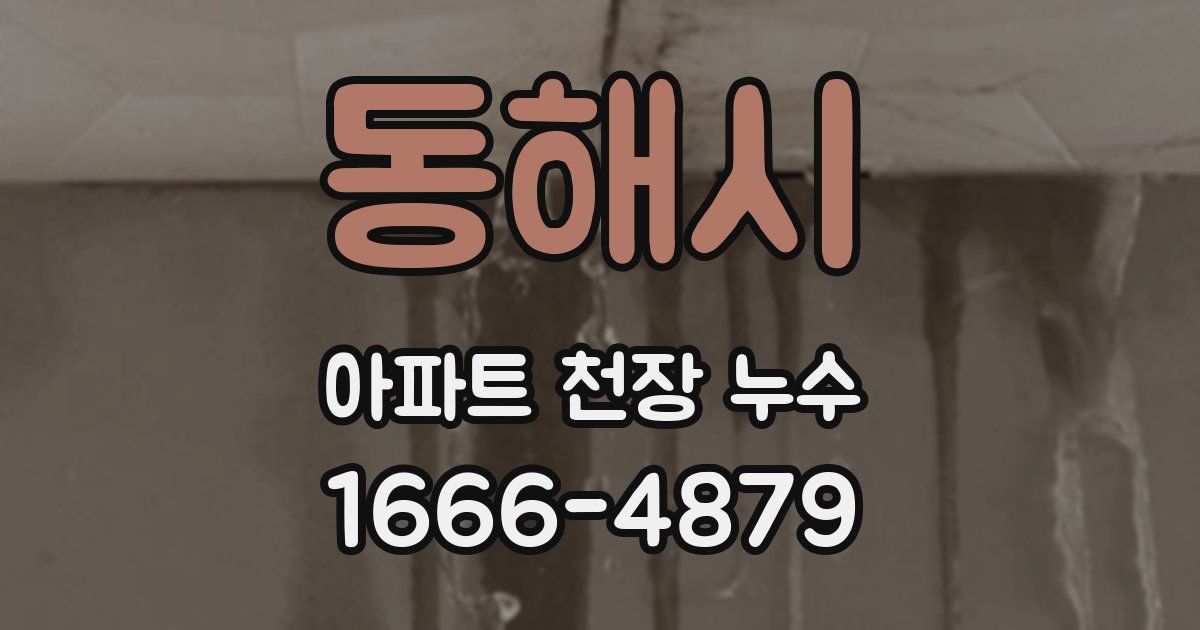 동해시 아파트 천장 누수