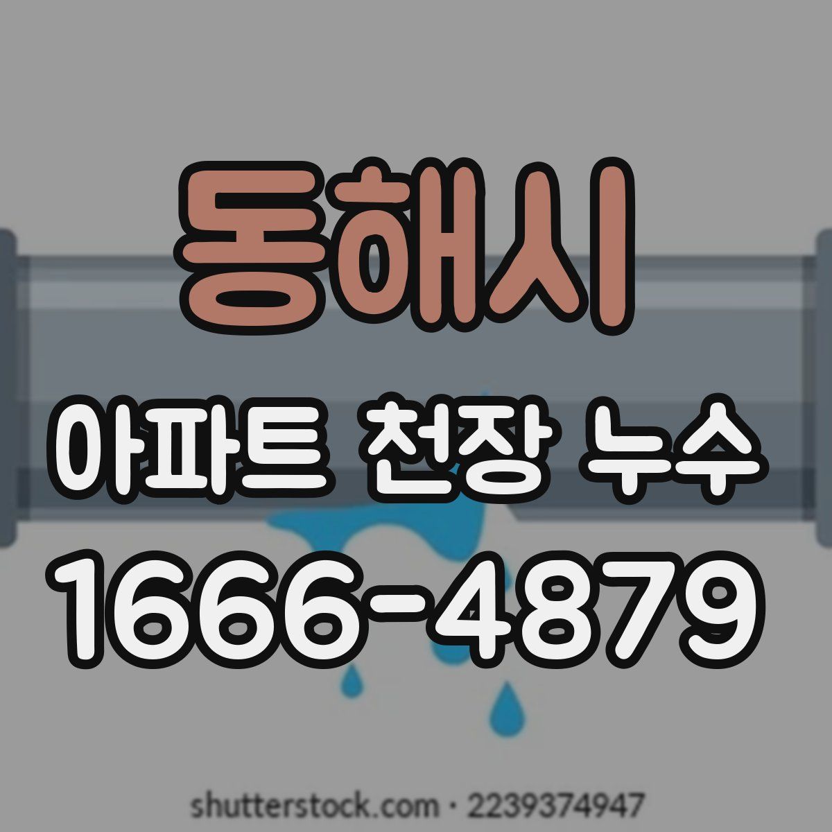 동해시 아파트 천장 누수