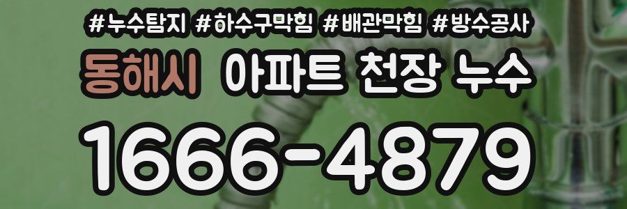 동해시 아파트 천장 누수