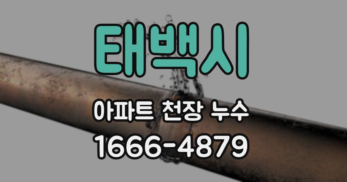 태백시 아파트 천장 누수