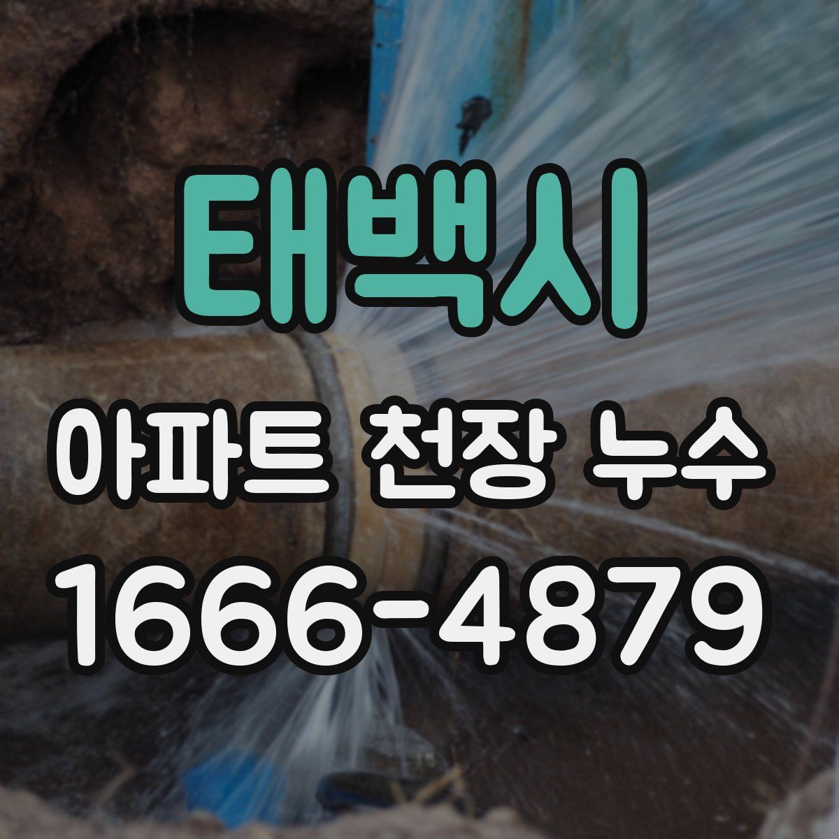 태백시 아파트 천장 누수