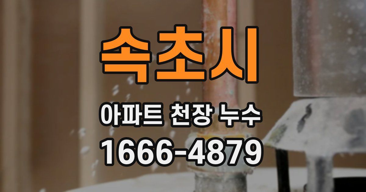 속초시 아파트 천장 누수