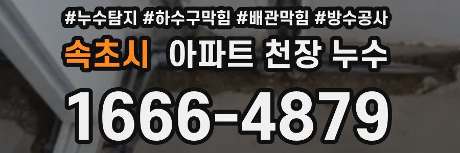 속초시 아파트 천장 누수