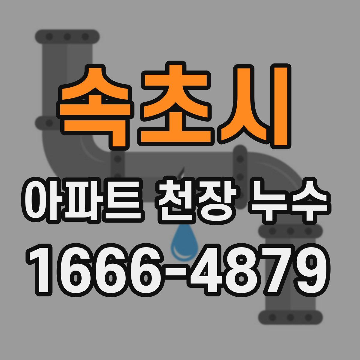 속초시 아파트 천장 누수