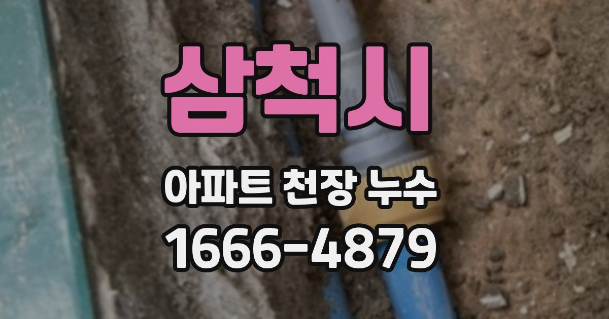 삼척시 아파트 천장 누수