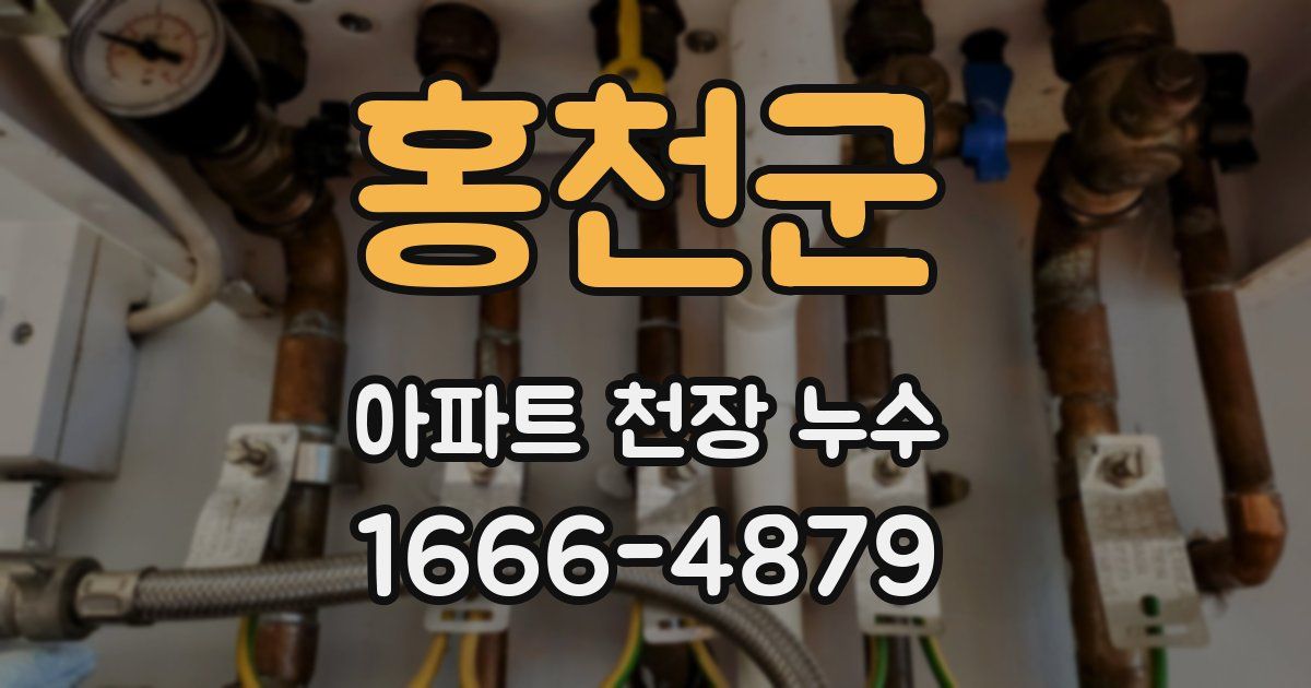 홍천군 아파트 천장 누수