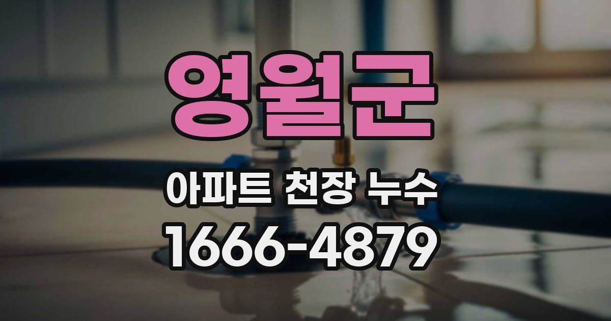 영월군 아파트 천장 누수