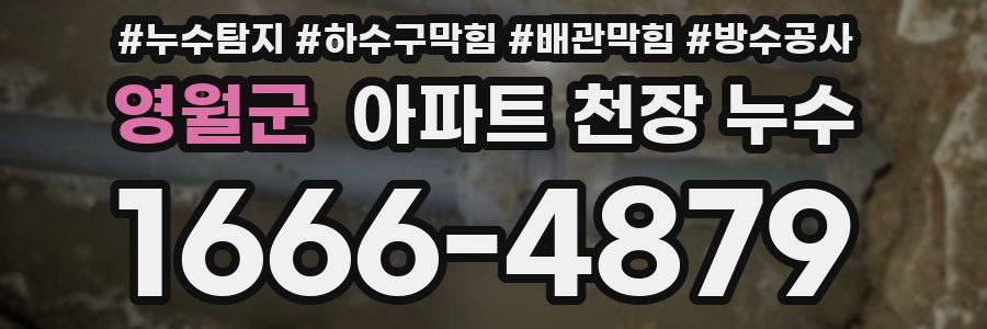영월군 아파트 천장 누수
