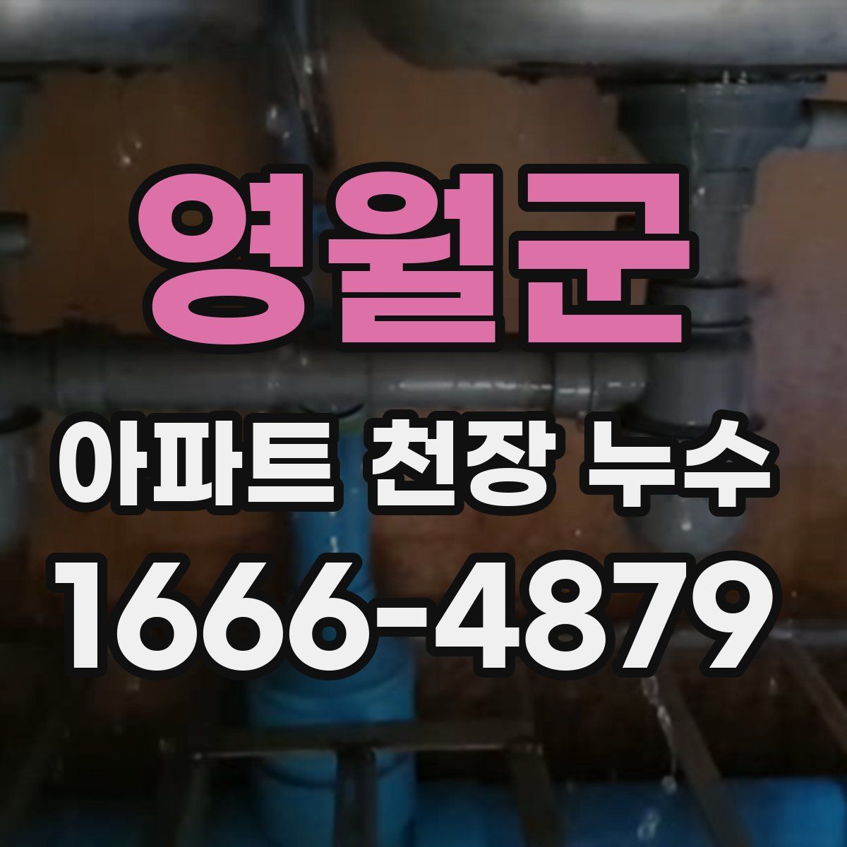 영월군 아파트 천장 누수