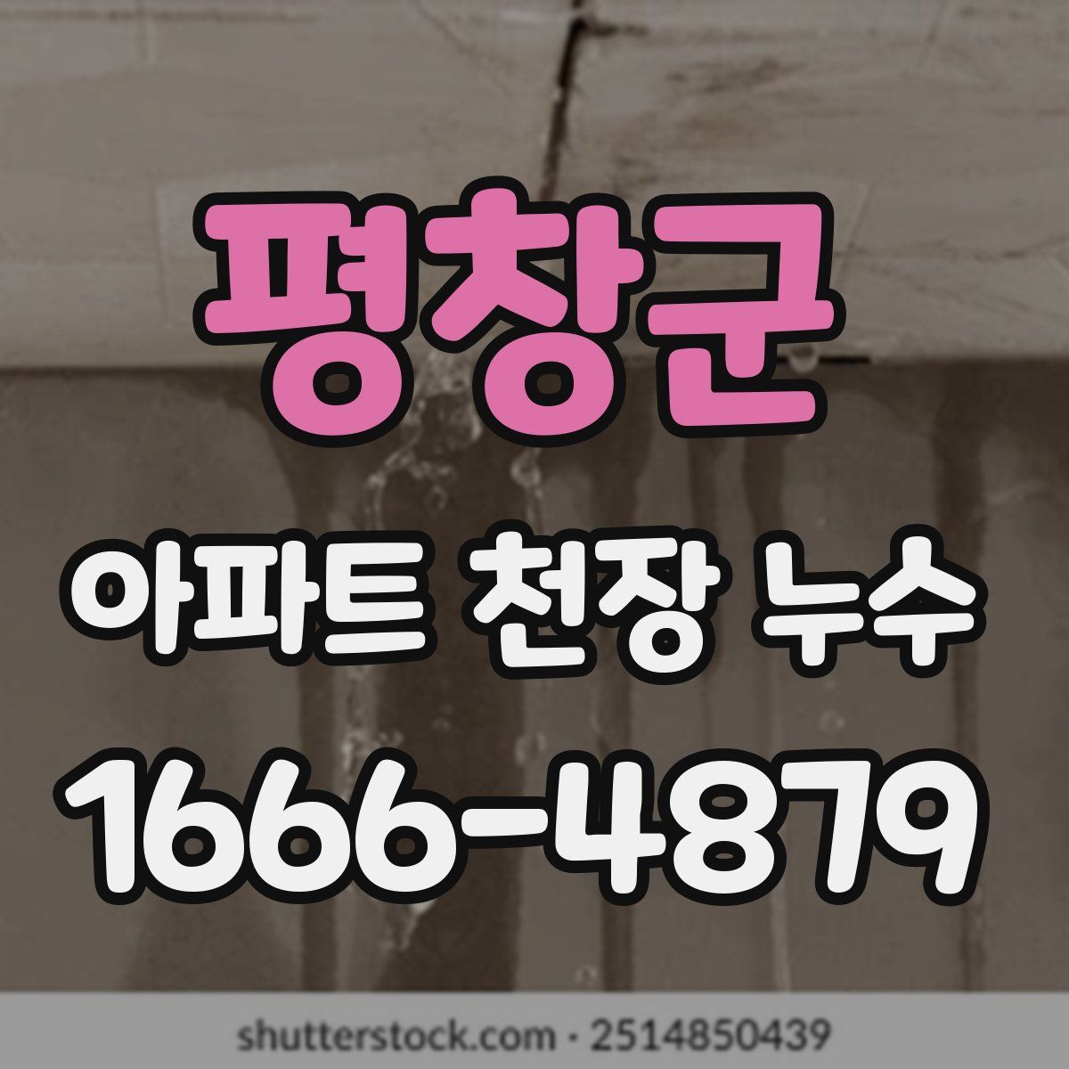 평창군 아파트 천장 누수