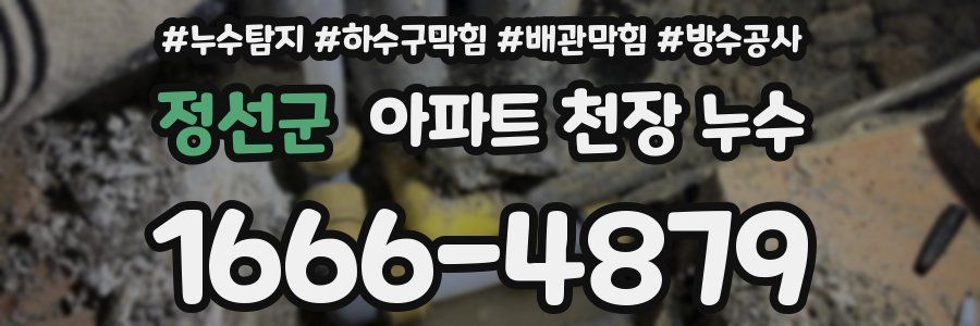 정선군 아파트 천장 누수