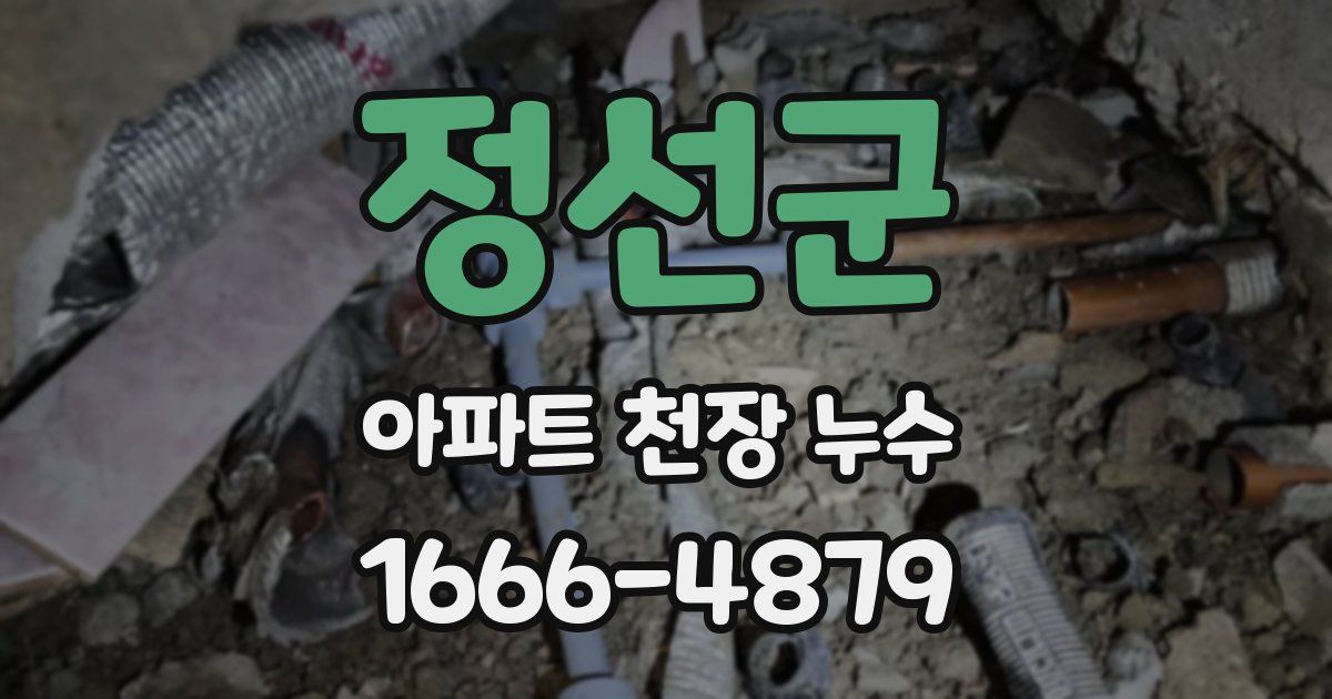 정선군 아파트 천장 누수