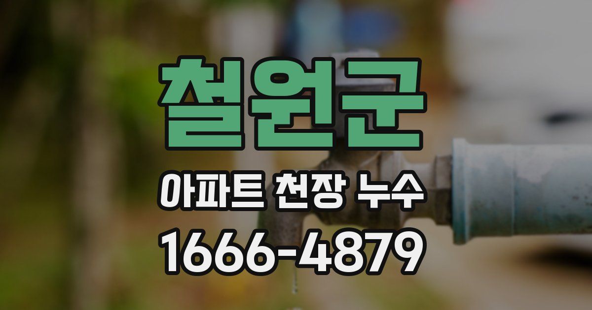 철원군 아파트 천장 누수