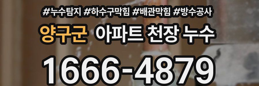 양구군 아파트 천장 누수