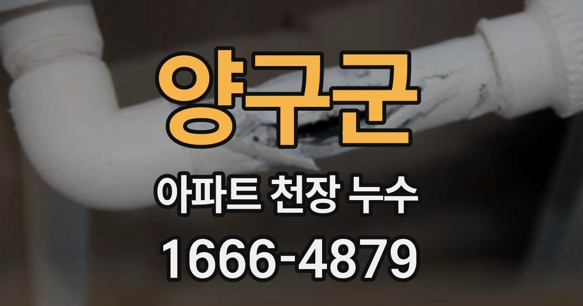 양구군 아파트 천장 누수