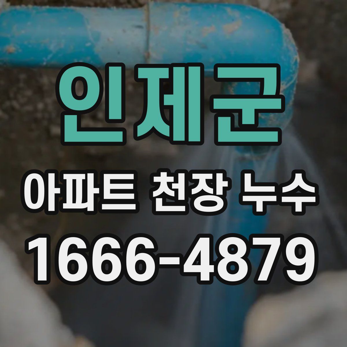 인제군 아파트 천장 누수