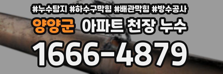 양양군 아파트 천장 누수
