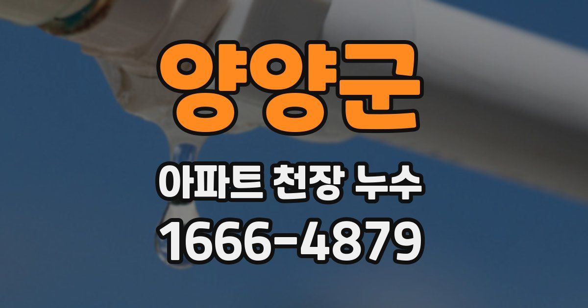 양양군 아파트 천장 누수
