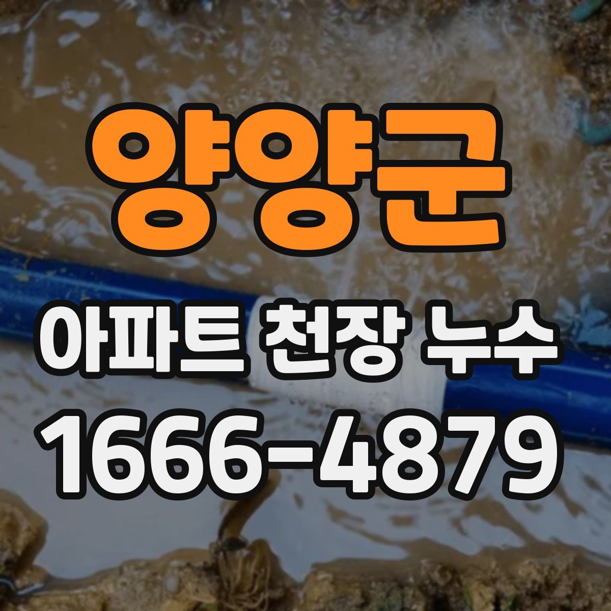 양양군 아파트 천장 누수