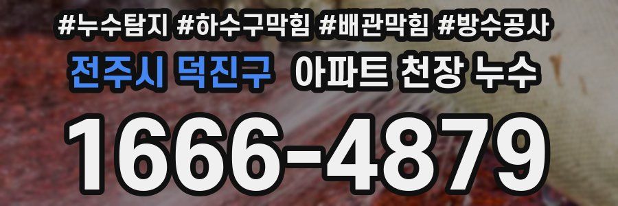 전주시 덕진구 아파트 천장 누수