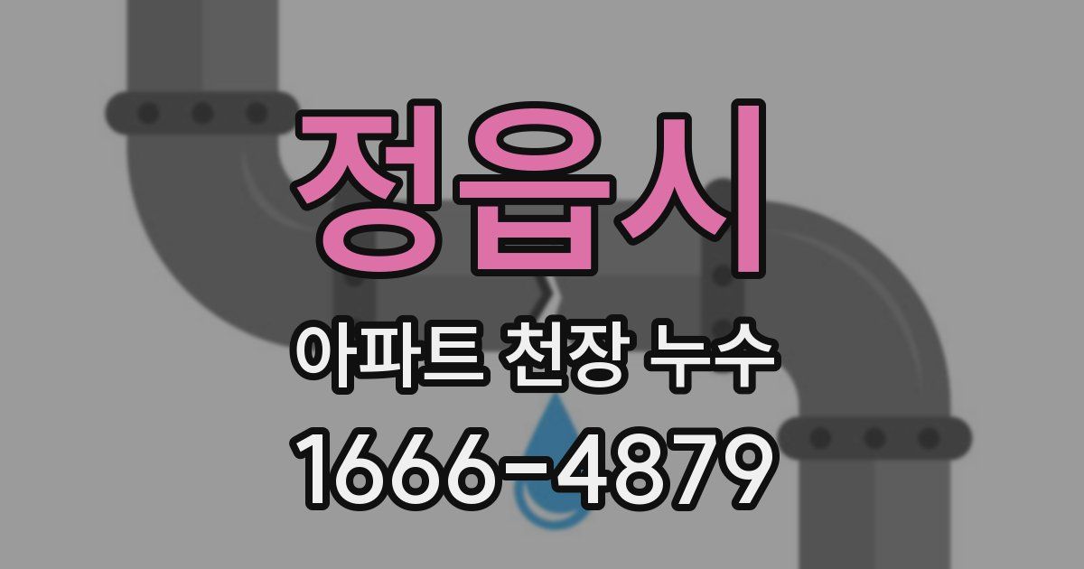 정읍시 아파트 천장 누수
