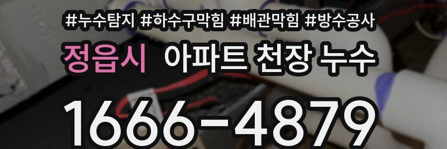 정읍시 아파트 천장 누수