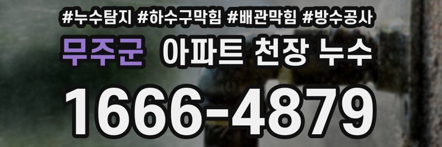무주군 아파트 천장 누수