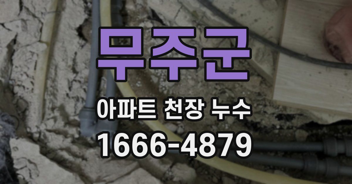 무주군 아파트 천장 누수
