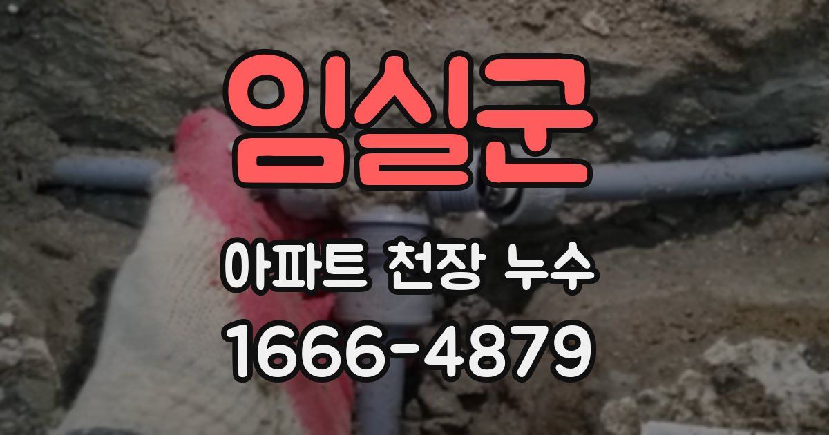 임실군 아파트 천장 누수