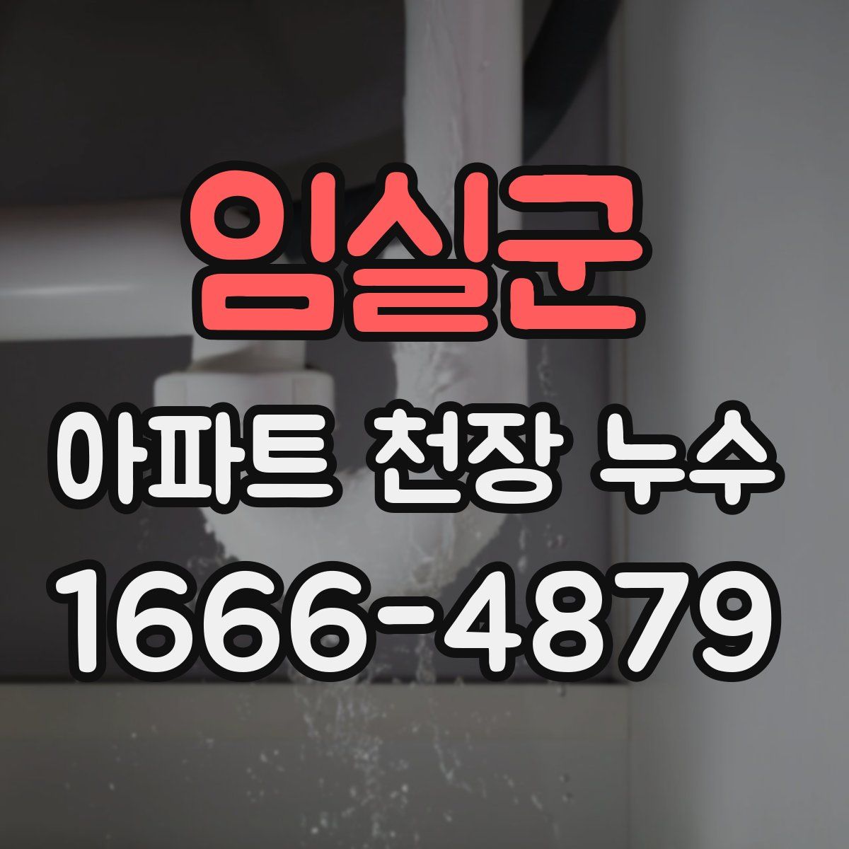 임실군 아파트 천장 누수