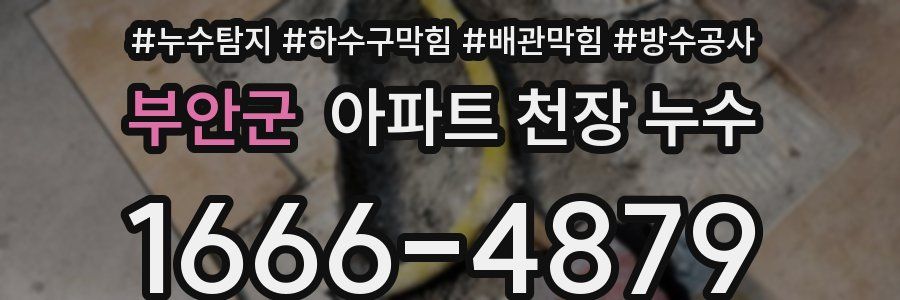 부안군 아파트 천장 누수