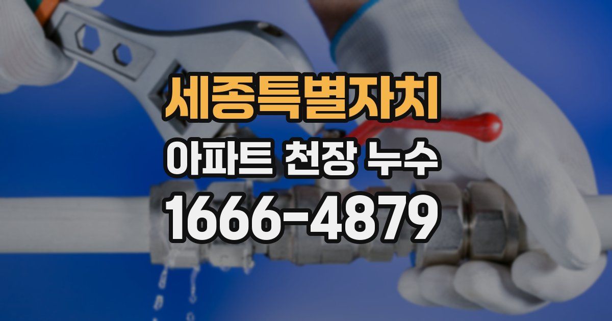 세종특별자치 아파트 천장 누수