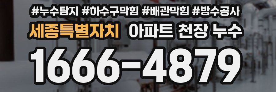 세종특별자치 아파트 천장 누수