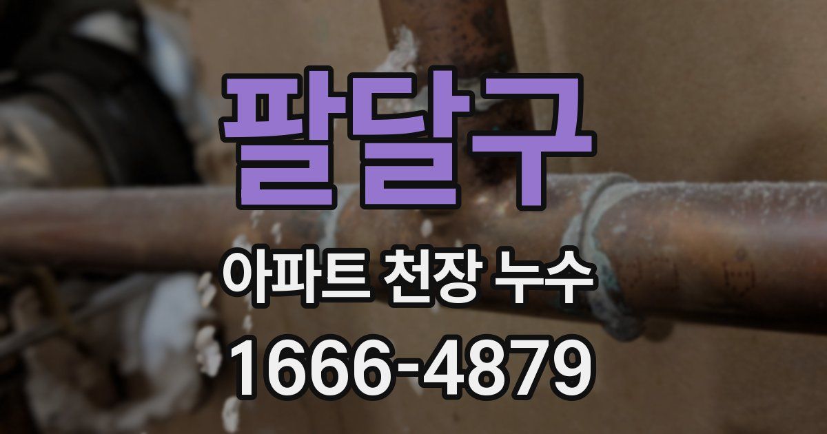 팔달구 아파트 천장 누수
