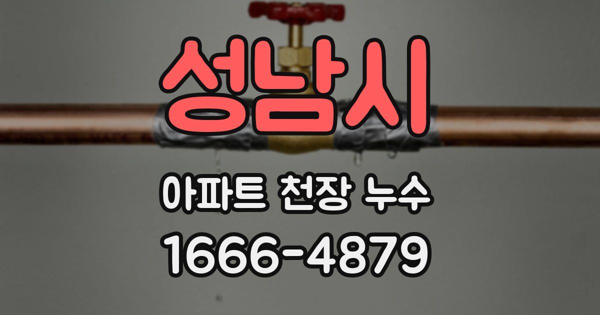 성남시 아파트 천장 누수