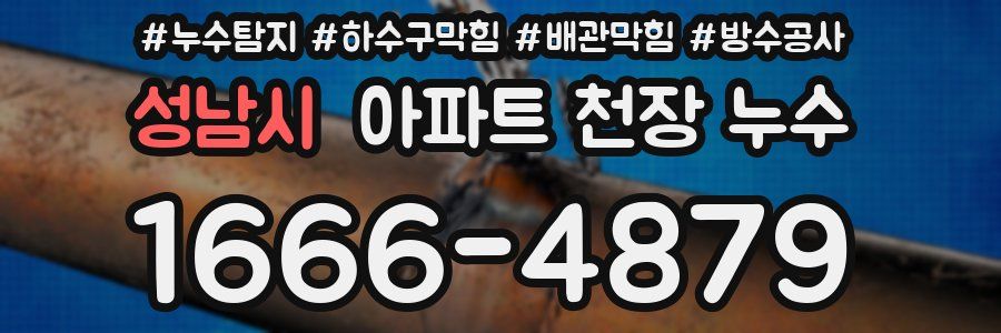 성남시 아파트 천장 누수