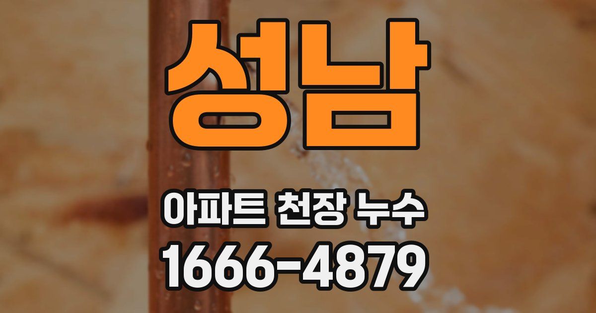 성남 아파트 천장 누수