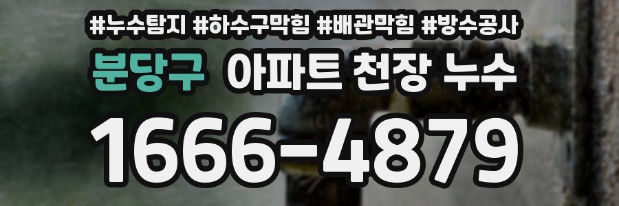 분당구 아파트 천장 누수